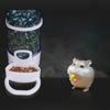 Feeding Bowl Box Plastic Anti Splash Bird's Container Bird Feeder Bird's Feeder Food Dispenser