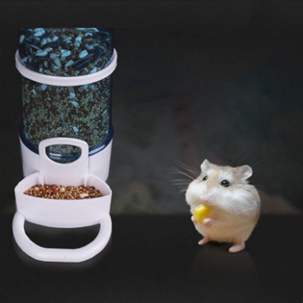 Feeding Bowl Box Plastic Anti Splash Bird's Container Bird Feeder Bird's Feeder Food Dispenser