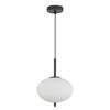 Oval Opal Glass Pendant Light 23W IP20 E14 Diam 200mm