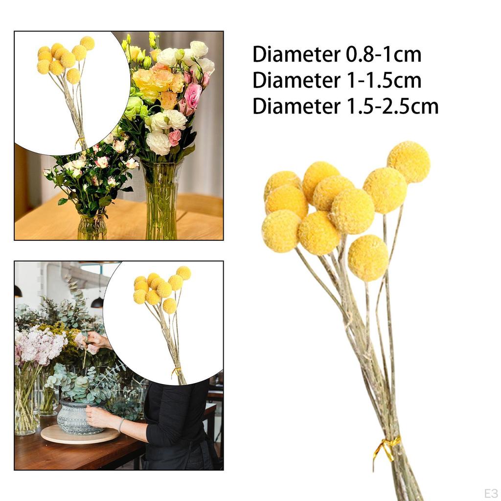 Dried Flower Assortment for Stylish Home Decor