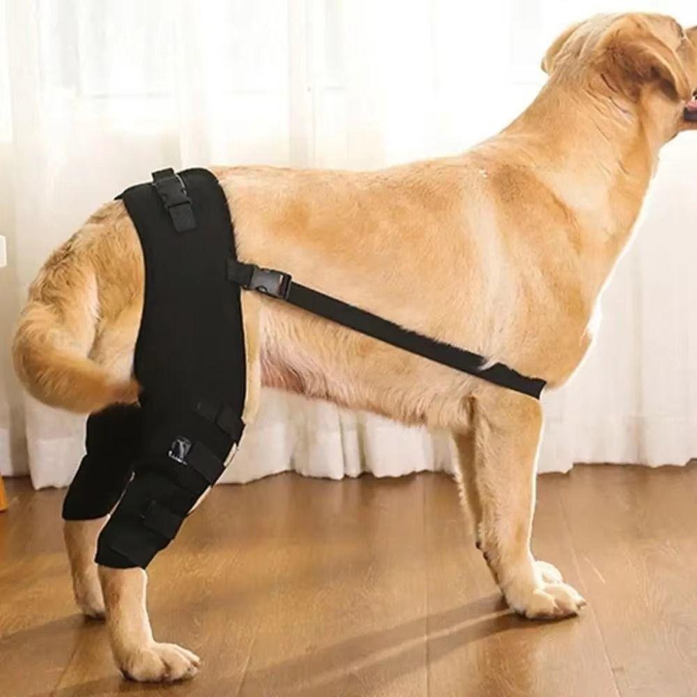 Adjustable Dog Knee Brace Comfortable Dog Leg Support Brace Pet Joint Protectors Wound Protection