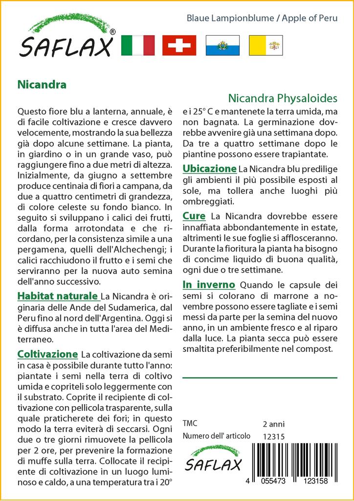 SAFLAX Яблоко Перу - 100 семян - Nicandra physaloides