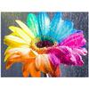 Полный 5D Diy Алмазная картина Цветной цветок Алмазная вышивка Крест Стежок Главная Декор Ручной подарок