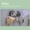 Herbal Cat Joy, Спрей с кошачьей мятой для кошек, Спрей с кошачьей мятой для домашних кошек