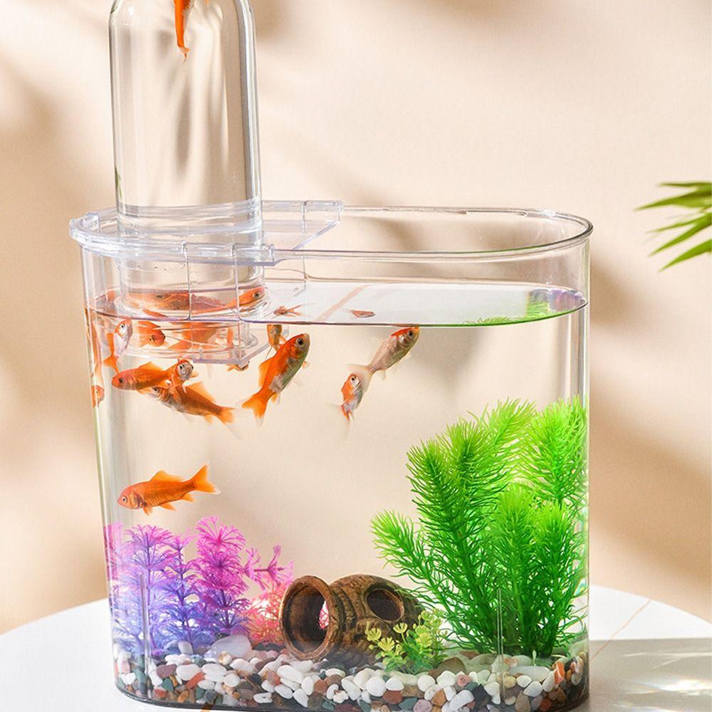 Экономия места Аквариум с отрицательным давлением Прозрачный вид Экологический аквариум Рыбка в аквариуме Гидропоника