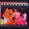 @* Плюшевые игрушки K-pop, Волк Медведь Лисы Утка Мультяшные Милые Плюшевые Животные Куклы-Рюкзаки, Большая Сумка-Почтальон, Декоративная Подушка, Подарок
