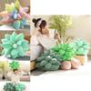 Charming Succulent Plant Stuffed Toys With Realistic Expressions For Kids Gifts