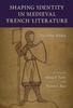 Книга Shaping Identity In Medieval French Literature : The Other Within