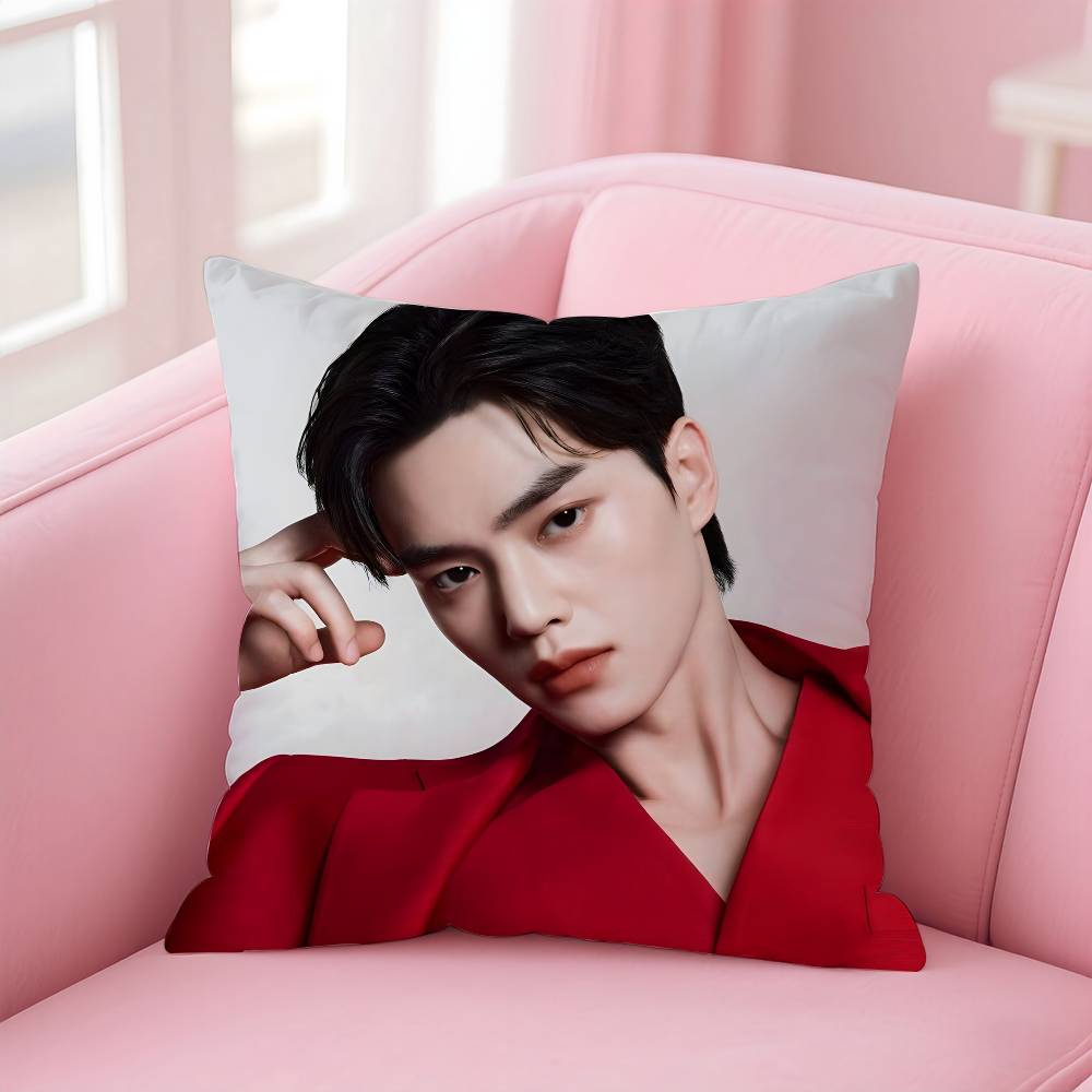 Korean s-Song k-Kang Pillow Case Pattern Printing Pillowcase Living Room Sofa Cushion Cover Bedroom Room Decor