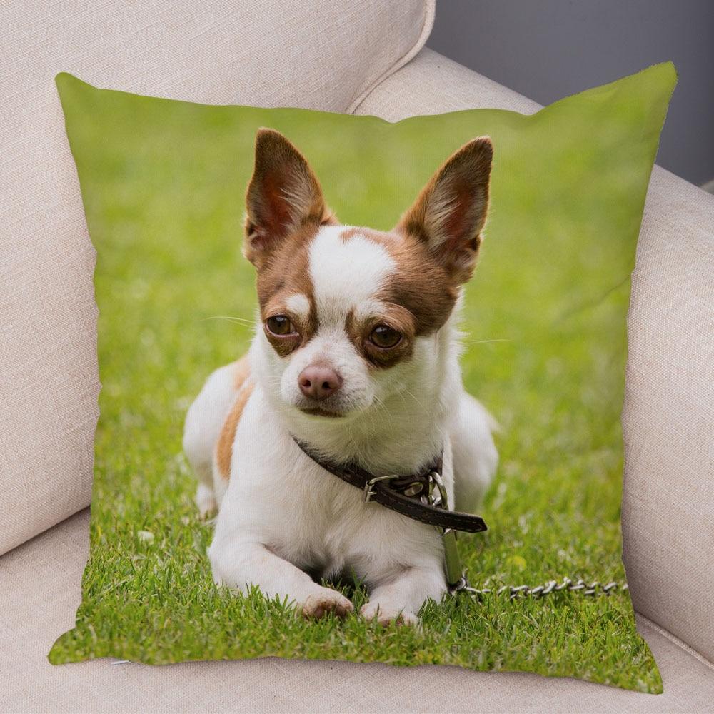 Cute Pet Animal Pillowcase Decorative Cute Puppy Chihuahua Pillowcase Soft Plush Cushion Cover for Car Sofa Home 45x45cm