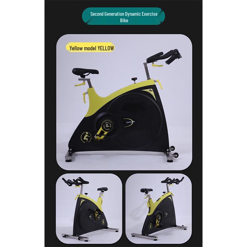 Xinzhen Dynamic Exercise Bike