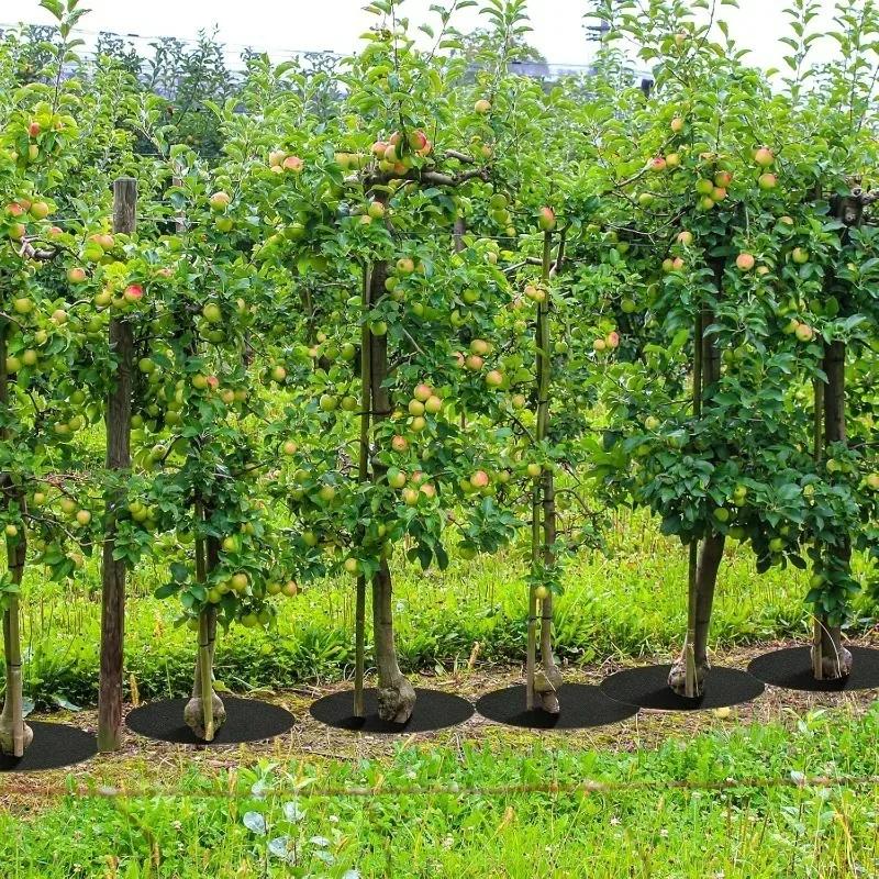 Защита деревьев Маты от сорняков Садовое мульчирующее кольцо Многоразовая нетканая ткань Покрытия для почвы в горшках Деградируемый барьерный мат от сорняков