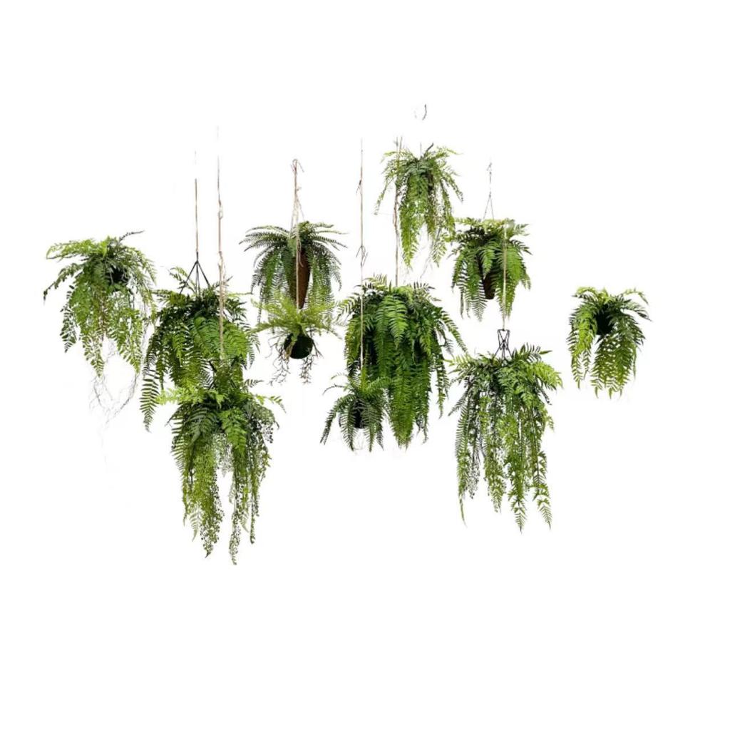 Indoor yard terrace hanging decoration fern grass artificial green plant hanging ornament home decor piece