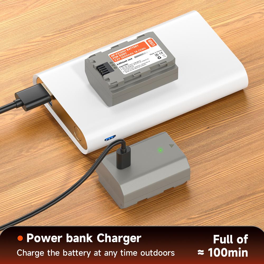 PALO NP-FZ100 NP FZ100 Np Fz100 Battery+Type C Port for Sony A6700 BC-QZ1 Sony Alpha A9 a7R III A7 III A7R3 a7R IV A6600 ZV-E1
