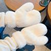 Velvet Plush Gloves Fluffy Mitten Cute Winter Gloves  Women