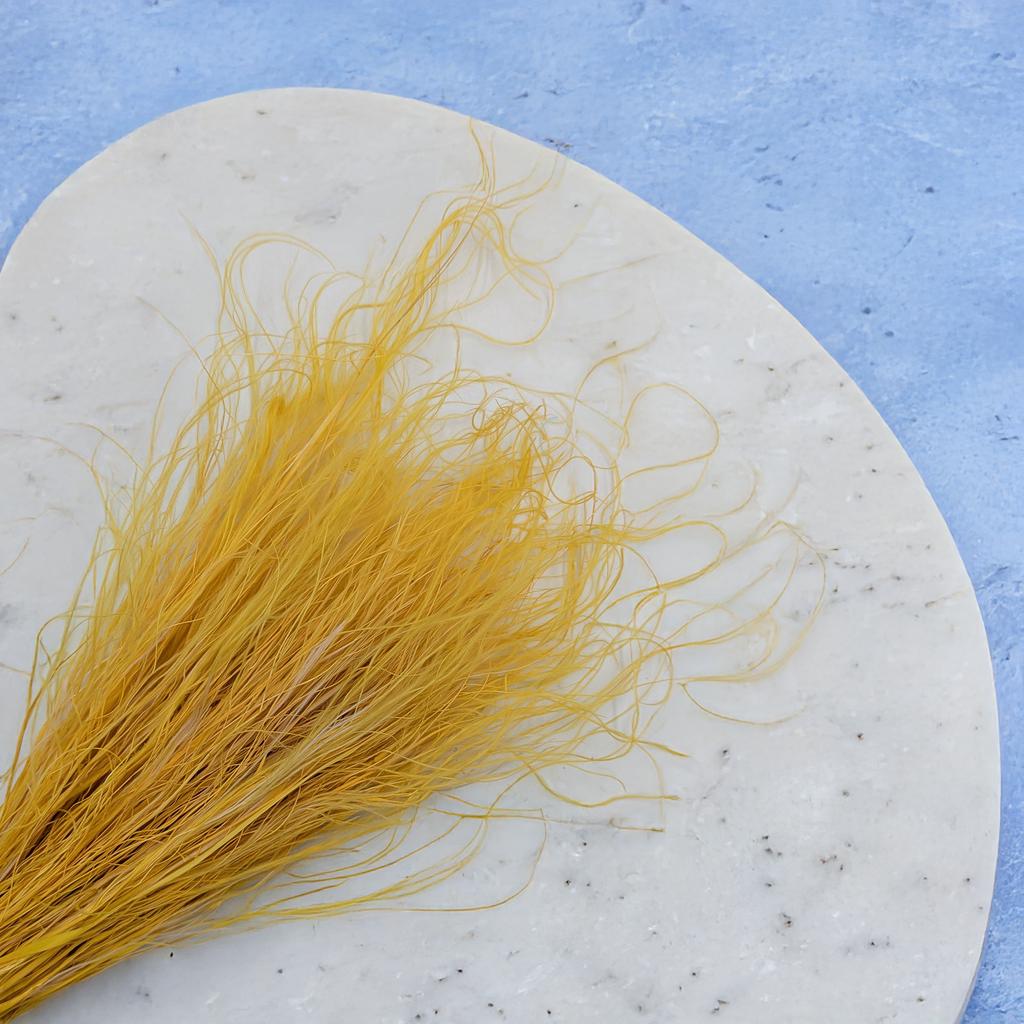 Suszona Stipa - Ostnica Piórkowata - (Stipa Pennata) - Imbirowa
