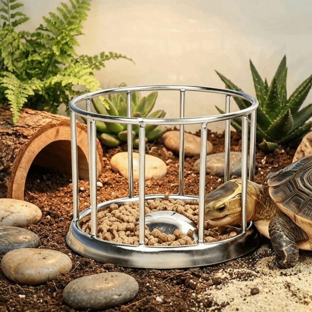 Fence Design Tortoise Food Dish Large Capacity Reptile Feeder Bowl For Amphibians