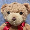 [USED] Teddy Bear, Herman, Plush Toy