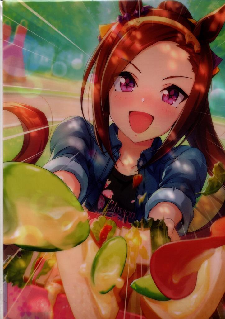 Clear File Uma Musume Pretty Derby MOVIC 0222 Sakura Bakushin Oh