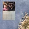 2026 Хип-Кот Настенный Календарь 3 Крутых Кота в Солнцезащитных Очках Модный Наряд Обязательно для Любителей Кошек Идеальный Подарок и Домашний Декор