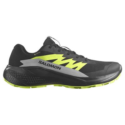 Кроссовки для трейлраннинга Alphaglide Goretex