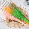 Natural Material Shooting Props Wheat Ear Grass Real Flower Dried Flowers Bouquets Plant Stems