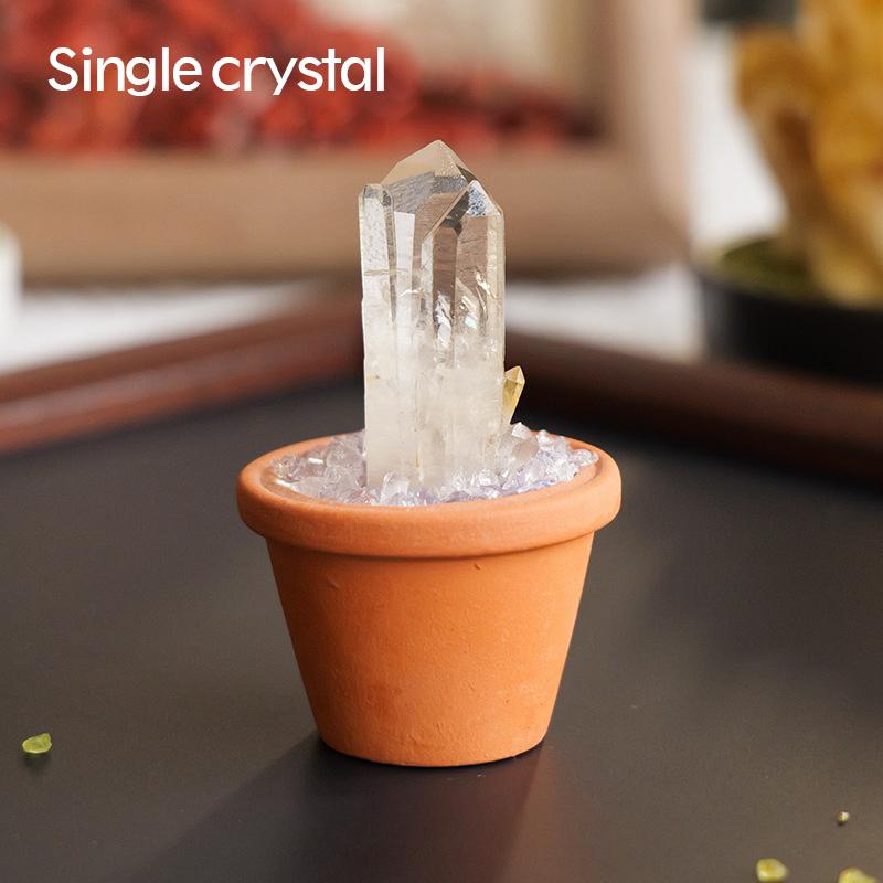 1PC Natural Crystal Stones Set Mini Clay Pot Base Amethyst Quartz Healing Gemstones Potted Plant Style Feng Shui Home Decor