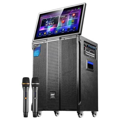 Портативная KTV акустическая система с дисплеем, штекер CN (адаптер в комплекте)