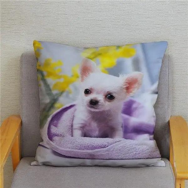 Милая Мини Собака Чихуахуа Декоративная Наволочка Офис Гостиная Автомобиль Украшения Дома Наволочка