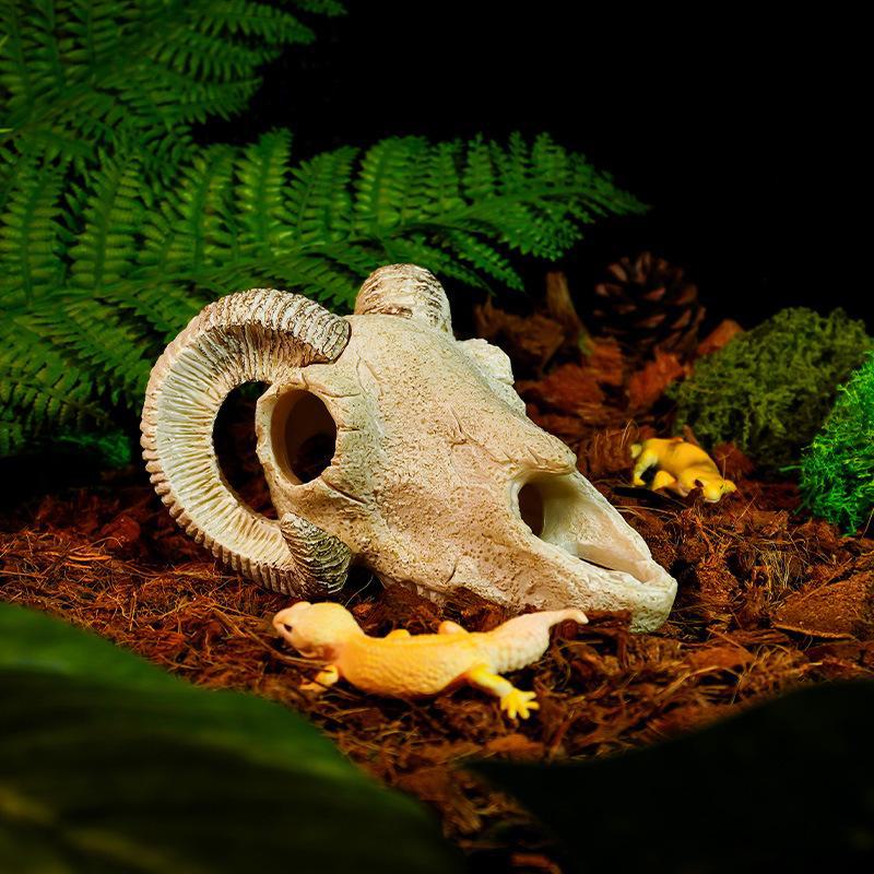 Dinosaur Skull Hiding House: Pet Cattle and Sheep Landscape Skeleton Fish Tank Decoration