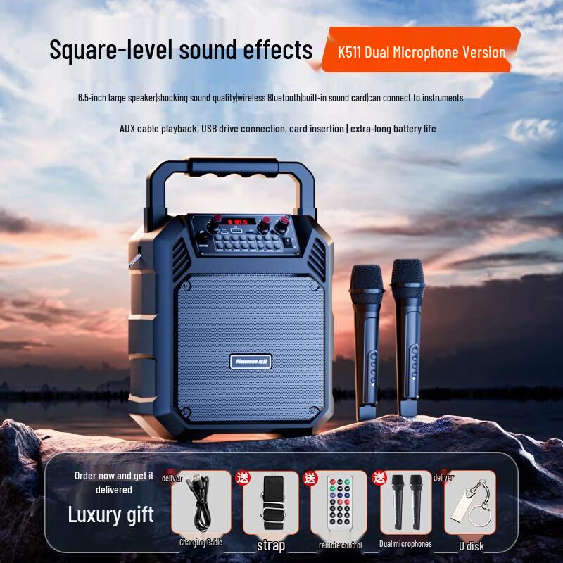 Портативная Bluetooth-караоке-колонка Newmine K511, штекер CN (адаптер в комплекте)