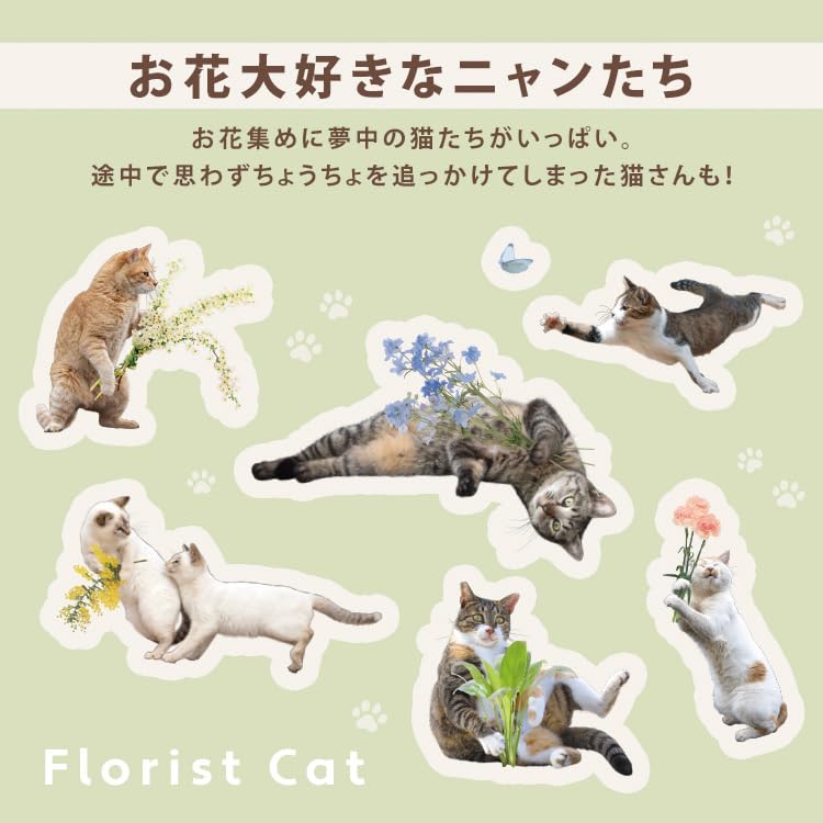 Masayuki Oki X Paw Plastic Umbrella Mini Green Folding Umbrella Outer Rib 49cm Ladies Handle Squishy Cat Stylish Cute Commuting To School Women Animal