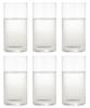 Toyo Sasaki Glass Tumbler Glass Rhizome Tumbler 310ml Set of 6 Made In Japan Dishwasher Safe Unbreakable Glass Cup Juice Glass Commercial Glass