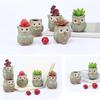 Сова Суккуленты Цветочные горшки Керамический цветочный горшок Офисный стол Мультяшные животные Кашпо для комнатных растений Гостиная