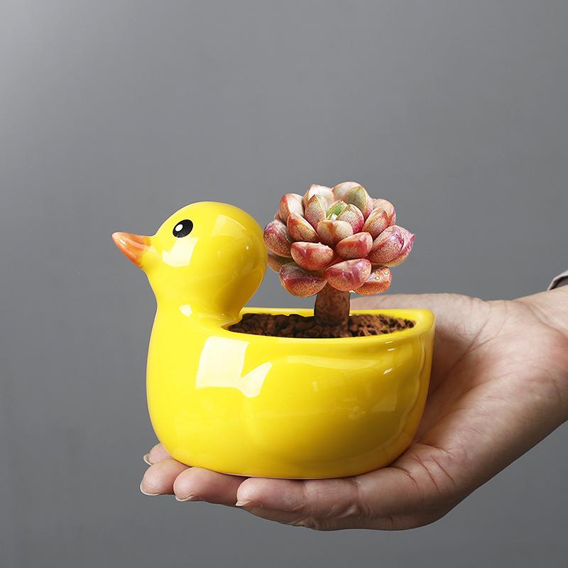 Succulent Plant Flower Pot Super Cute Duckling Creative Animal Fun Personality Succulent Versatile Ceramic Flower Pot