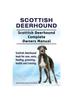 Книга Scottish Deerhound. Scottish Deerhound Complete Owners Manual. Scottish Deerhound Book for Care, Costs, Feeding, Grooming, Health and Training.