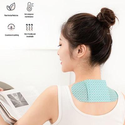 Домашняя аптечка – Медицинские и лечебные пластыри