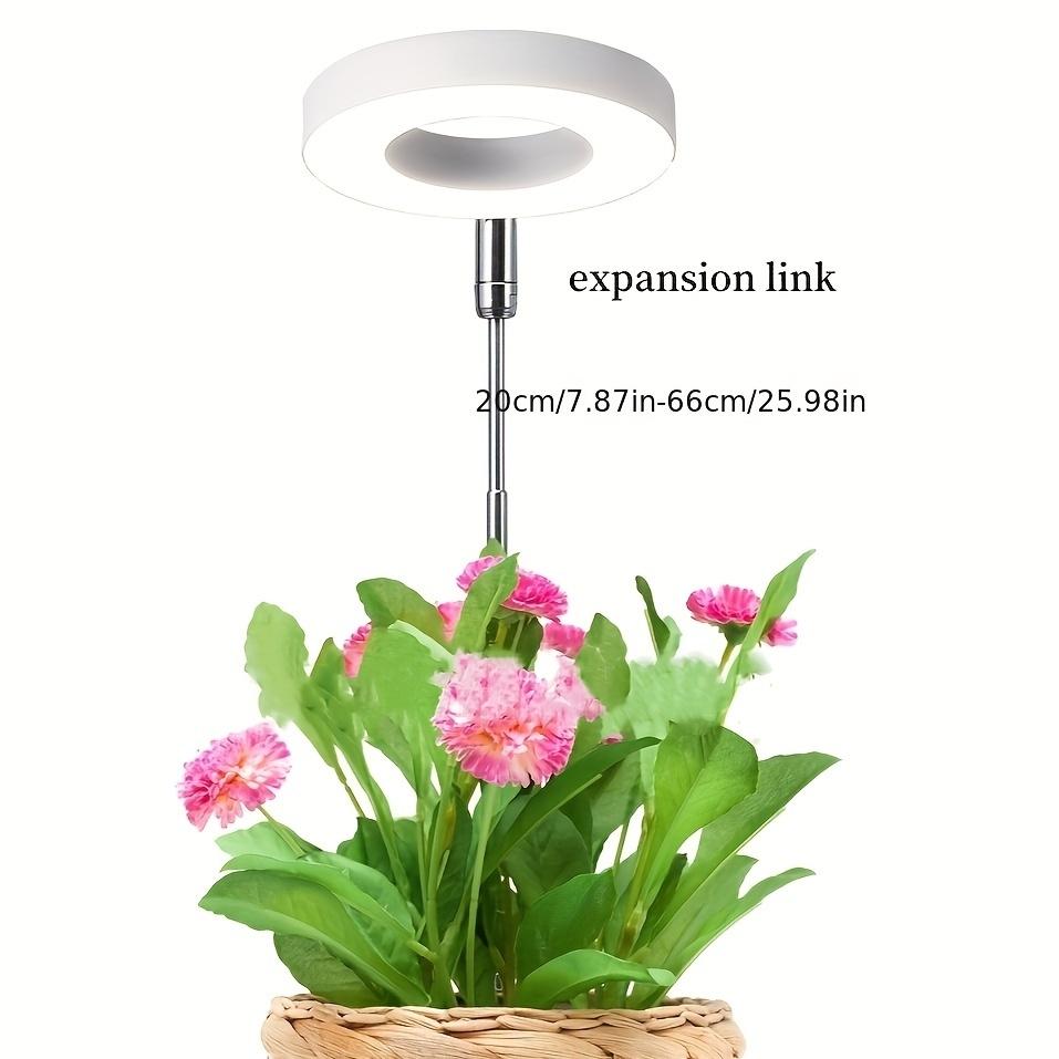 Светодиодный светильник для выращивания растений в комнатных условиях Angel Ring, 2/4/8 ч, таймер включения/выключения USB 5 В, выдвижная высота, полный спектр, имитация солнечного света для растений