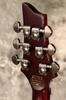 Schecter Electric Guitar HELLRAISER FR BCH C-1
