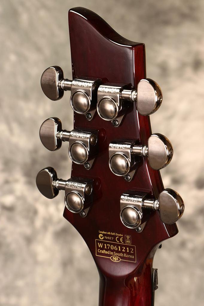 Schecter Electric Guitar HELLRAISER FR BCH C-1