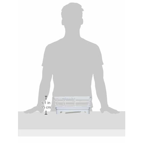 Wahei Freiz Dish Drainer, 1-2 Person Capacity, 31.5 x 20 x 14 cm, with Drain Nozzle, for Washing Dishes, Kitchen Storage, Float, RG-0433