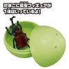 Takara Tomy Ania's Egg Insect Collection DP-BOX Animal Dinosaur Toy for Ages 3 and Up
