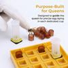 High Quality Plastic Queen Rearing Cup Kit Queen Rearing Cage Set  Raise Your Own Queens