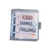 Mini Savings Challenges Book Envelope Savings Challenge  for Budgeting Planner