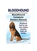 Книга Bloodhound. Bloodhound Complete Owners Manual. Bloodhound Book for Care, Costs, Feeding, Grooming, Health and Training.