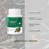 Apiton Phyto with Needles New Life Dietary Supplement (Immune Support)