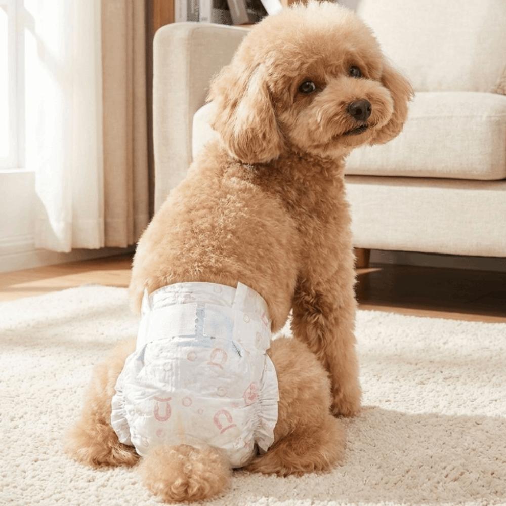 10PCS Breathable Female Dog Diapers Super Absorption Disposable Diapers Home Use