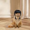 Косплей для собак Костюмы Парик Вечеринка Смешной Хэллоуин Головной убор Одежда Игрушка