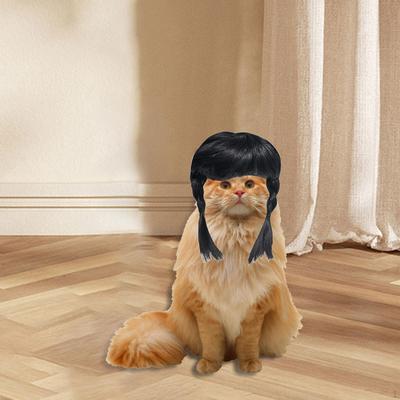 Косплей для собак Костюмы Парик Вечеринка Смешной Хэллоуин Головной убор Одежда Игрушка