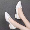 Shallow-mouthed Shoes Women's Low-heeled Spring and Autumn Shoes Joker White Thick Heel Work Shoes Anti-slip